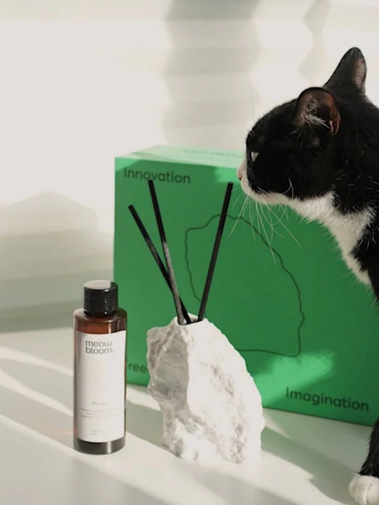 Serene Stone Diffuser for Pet-friendly Scents
