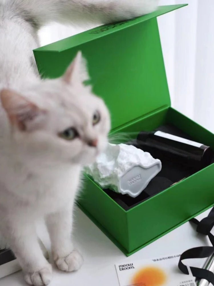 Serene Stone Diffuser for Pet-friendly Scents