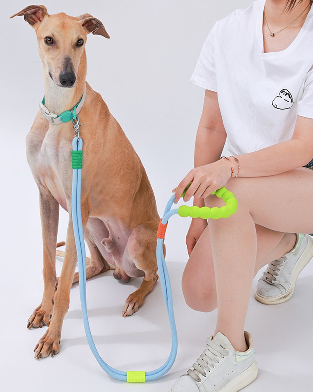 Durable Dog Leash with Swivel Hook