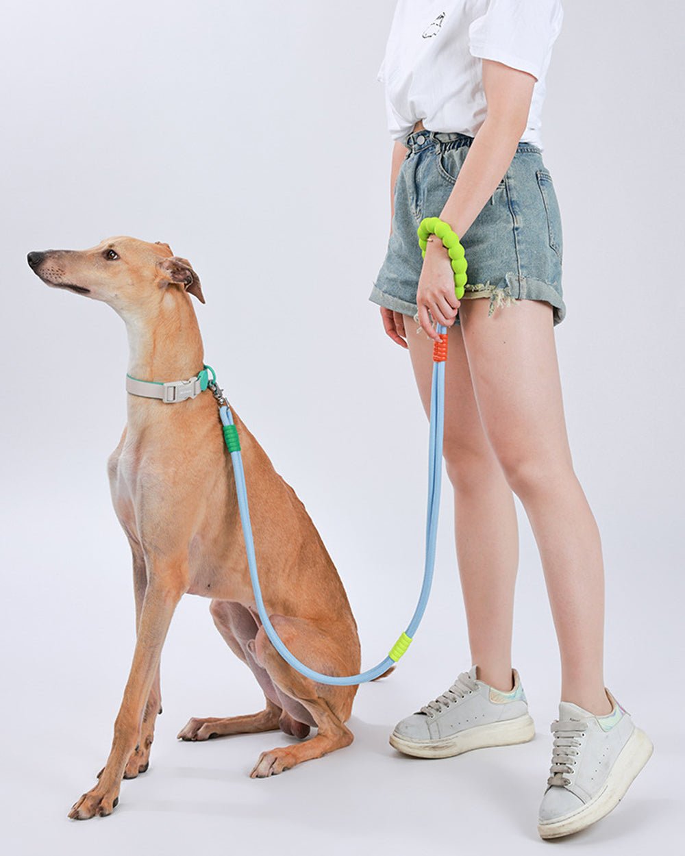 Durable Dog Leash with Swivel Hook